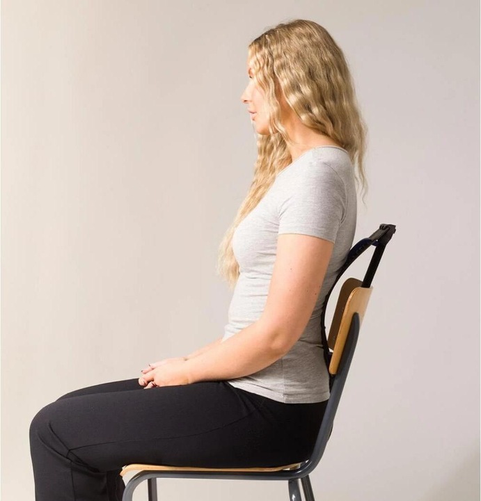 Immagine prodotto Swedish Posture Barella per la schiena