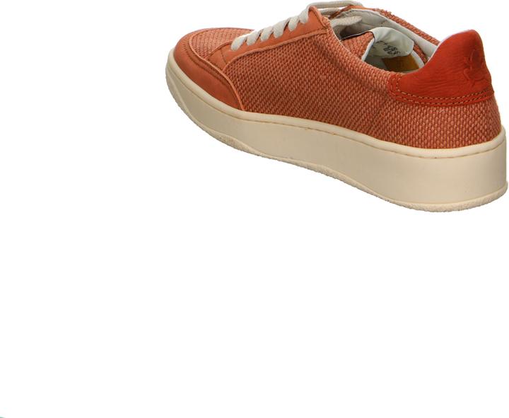 Produktbild El Naturalista Multi Material (43)