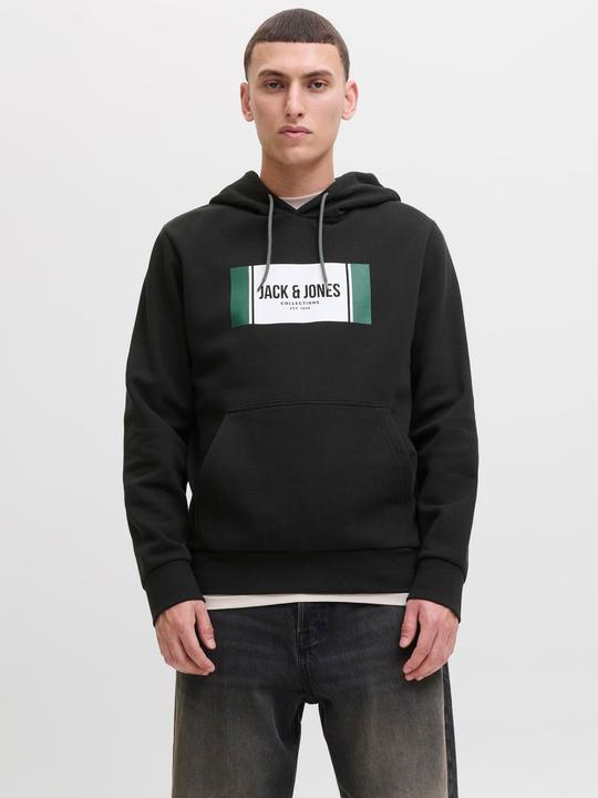 Produktbild Jack & Jones Jjhayato Sweat Hood Bts Ln (S)