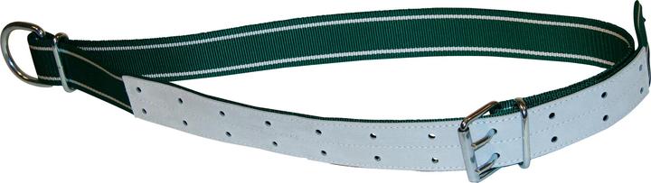 Immagine prodotto Kerbl Collare verde/bianco, 150x5cm con maglia ovale e anello a D (Cane)