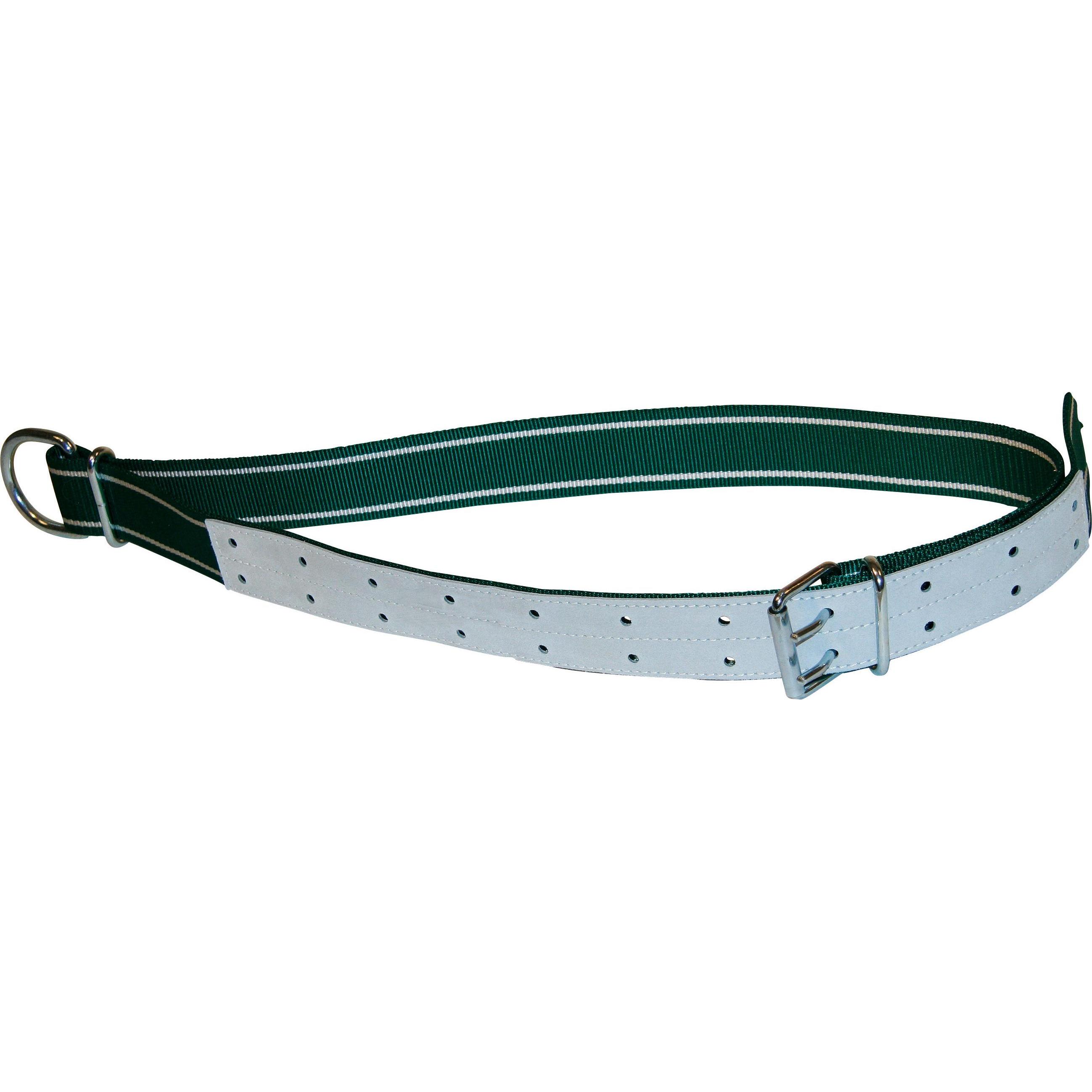 Comparer les prix de Kerbl Collier vert/blanc, 150x5cm avec maillon ovale et anneau en D (Chien), Collier + laisse