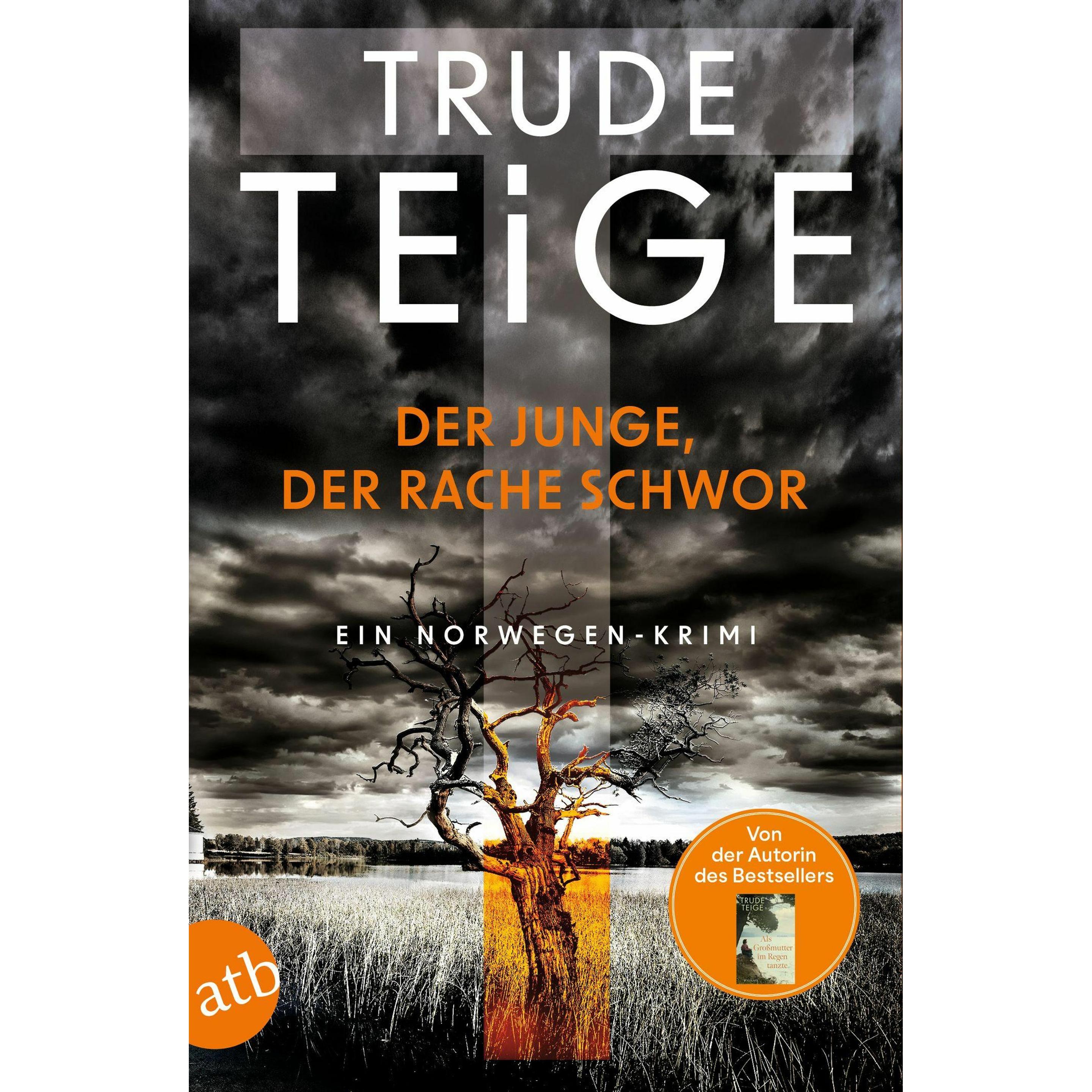 Der Junge, der Rache schwor, Belletristik von Trude Teige
