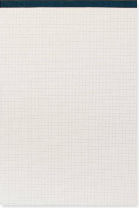 Actual product image Office Notepad Focus Uws A4 chequered, 5 pieces (A4, Checked, No binding)