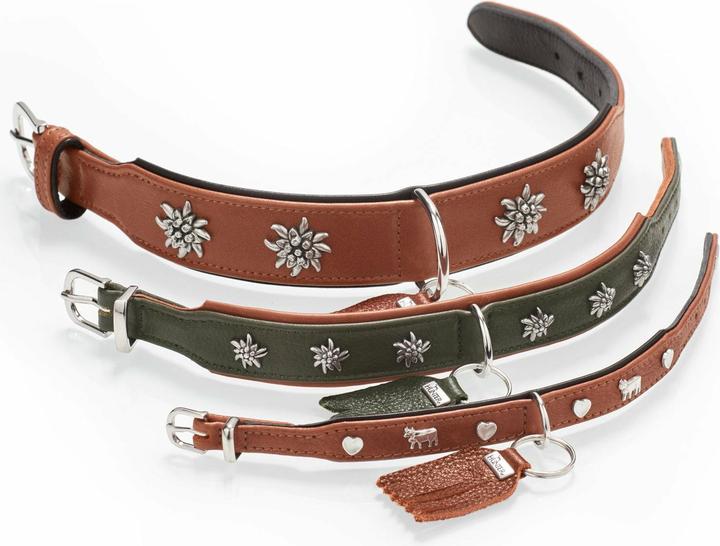Actual product image Hunter Collar Munich Mini 30/XS, cowhide, cognac/black (XS, Dog, General)