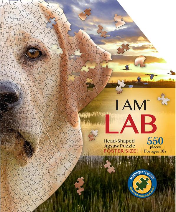 Actual product image Madd Capp I AM LAB 550 Puzzle (550 pieces)