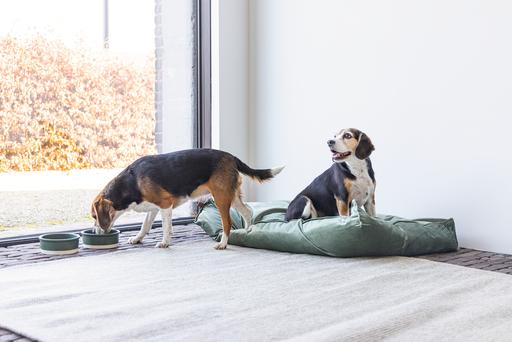 Image du produit Designed by Lotte Oreiller pour chien Nalino (Chien)