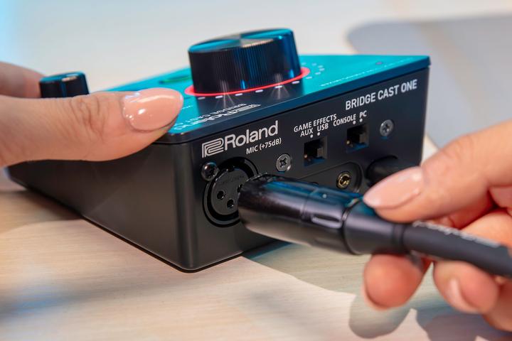 Image du produit Roland Bridge Cast One (USB)