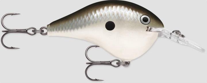 Actual product image Rapala DT (DIVES-TO) SERIES (10 cm)