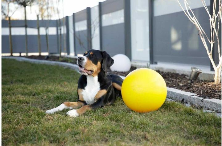 Produktbild Kerbl Hundespielball (Intelligenzspielzeug Hund)