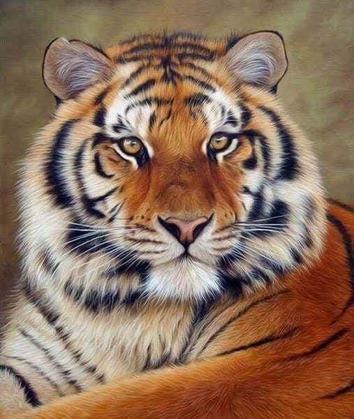 Produktbild Figured'Art Tigerauge