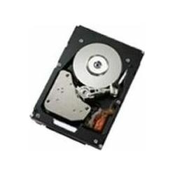 IBM 2 TB Simple Swap SATA 300 (2 TB), Festplatte