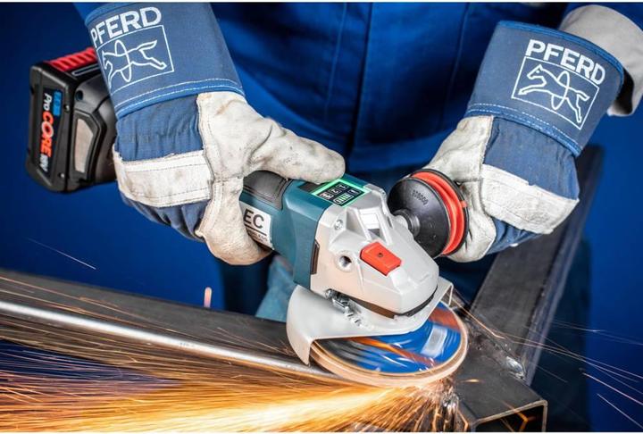 Produktbild Pferd Fächerschleifscheibe (40)