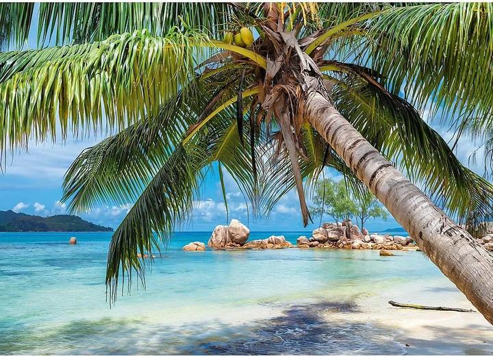 Immagine prodotto Alipson Puzzle Puzzle 1000 pezzi Tropical Beach (1000 pezzi)