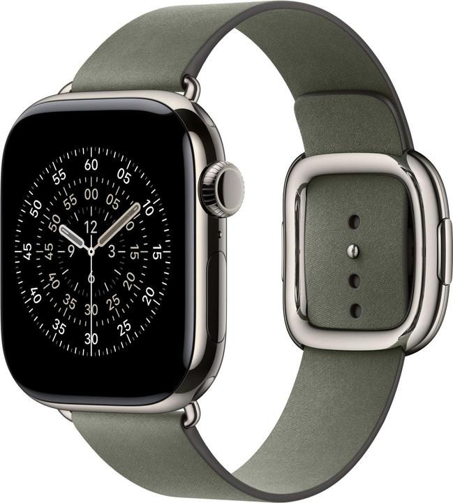 Actual product image Apple Modern Buckle (42 mm, Polyester)