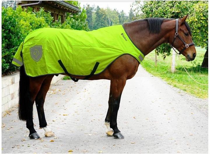 Produktbild Stallone Walker Rug (125 cm)