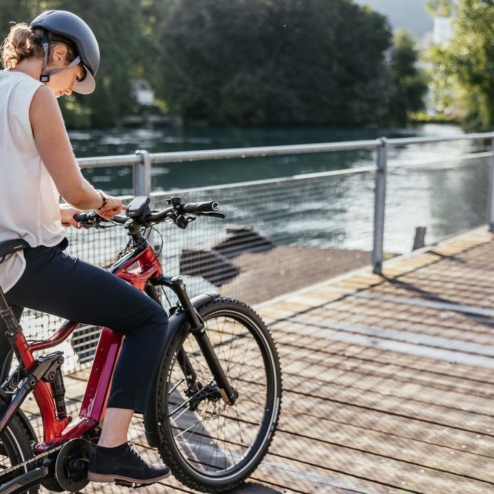 Actual product image Flyer Goroc3 4.10 (47 cm)