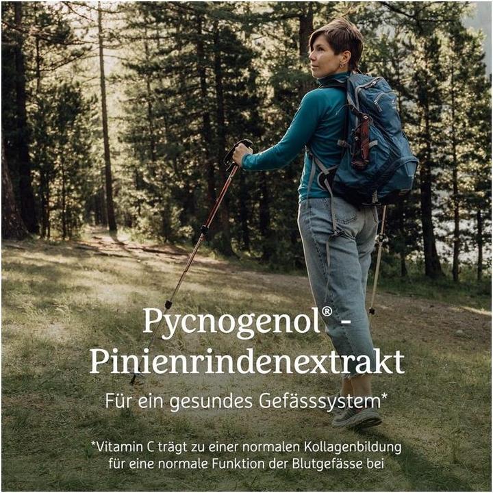 Actual product image Effective Nature Pycnogenol - Pinienrindenextrakt (60 pcs., Capsules)