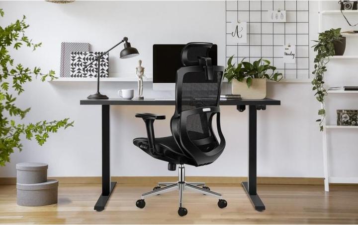 Produktbild Mark Adler Expert (40 - 48 cm)