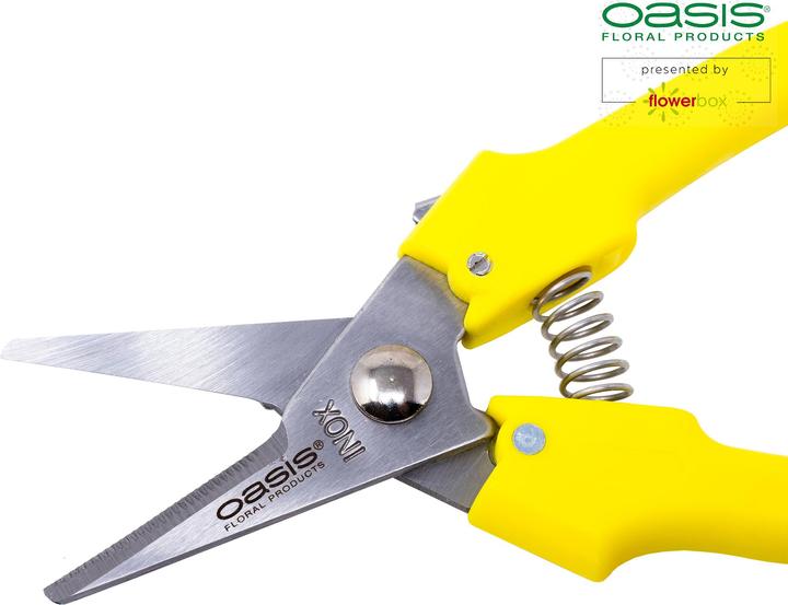 Image du produit Oasis Sécateurs pour fleurs (17 cm)