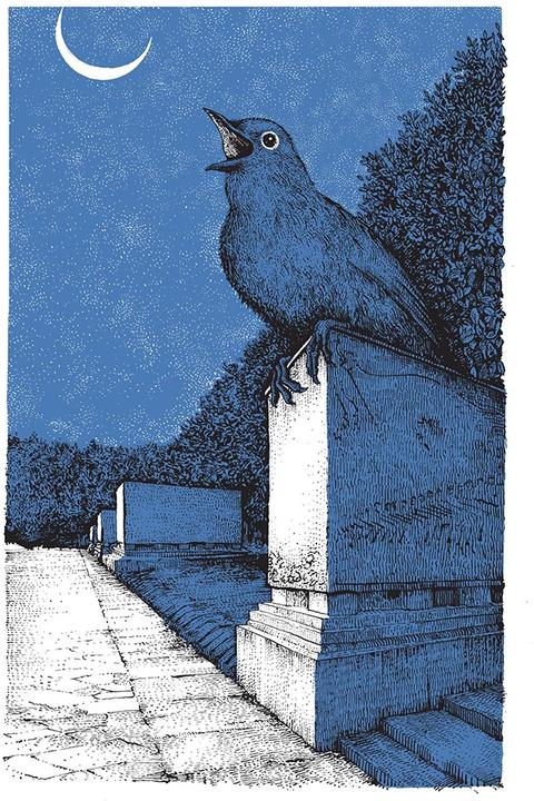 Produktbild Die Nachtigall (Deutsch, Silke Kipper, 2022)