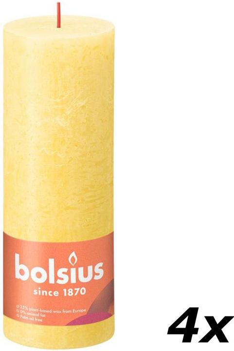 Actual product image Bolsius Set of 4 Pillar Candle (4 pcs.)