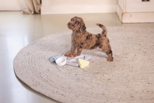 Productafbeelding Beeztees Puppy braingame Lot (Intelligentie speelgoedhond)