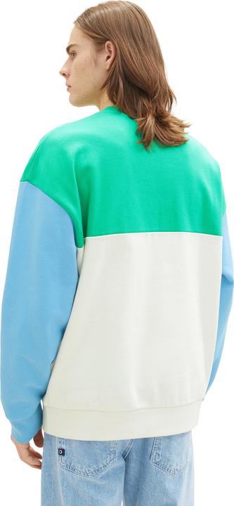 Actual product image Tom Tailor Sweatshirt Pullover ohne Kapuze mit Color-Block (S)