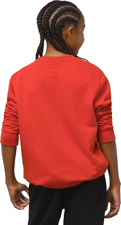 Actual product image Vans Digi Flames Hoodie Kids (M)