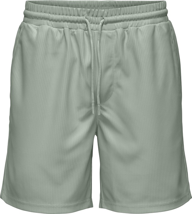 Only & Sons Onstel Life Plizze Shorts Noos
