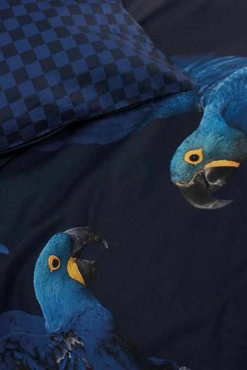 Produktbild Snurk Blue Parrot