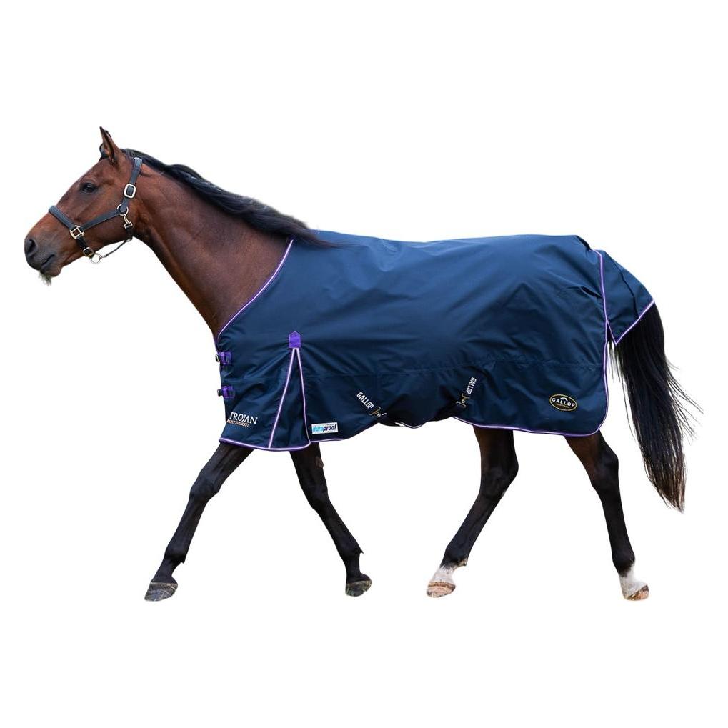 Gallop Trojan Xtra 200g Combo Turnout Rug 1200d Gallop Trojan Xtra 200g Combo Turnout Rug 1200d