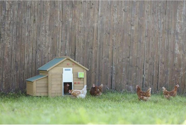 Produktbild Kerbl 70546 Automatische Hühnertür Set inklusive Schiebetüre, 300 x 400 mm