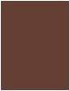 Immagine prodotto NYX Professional Make-Up La colla per sopracciglia istantanea (Medium Brown)
