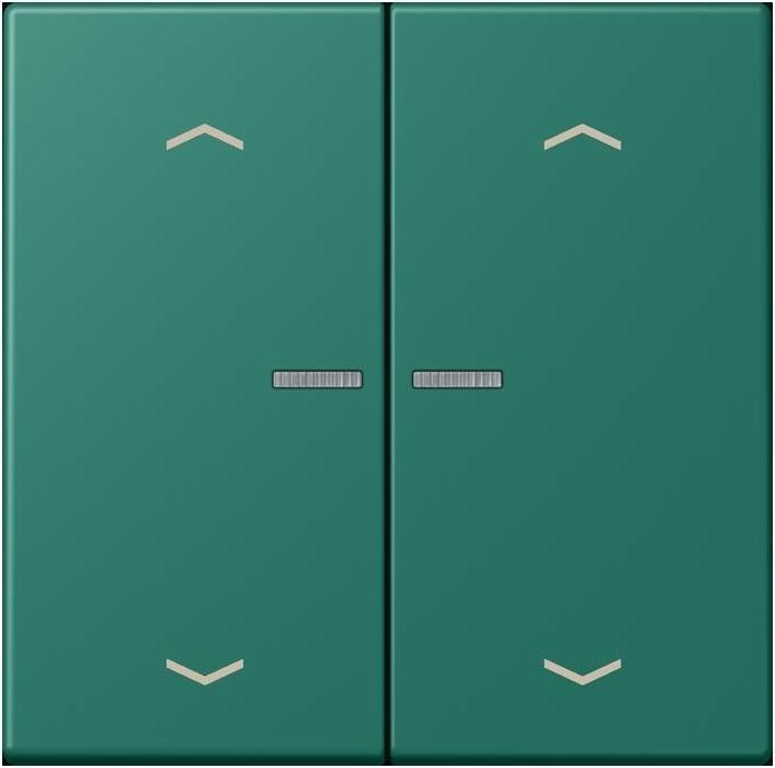 Actual product image JUNG BTLC17102P216 HOME push button