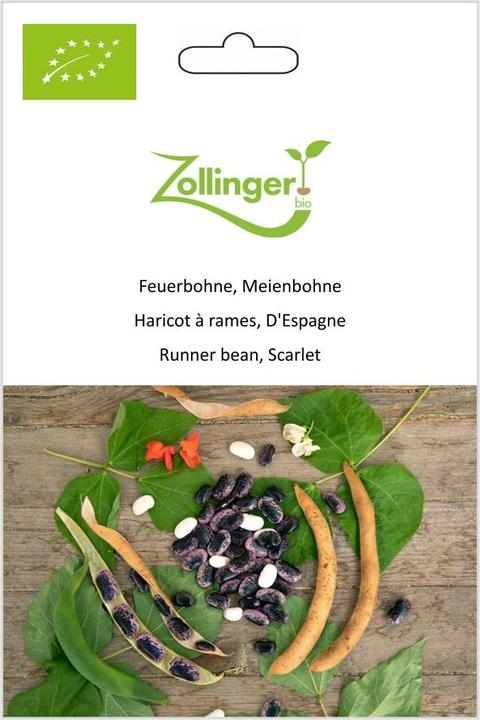 Produktbild Zollinger Bio Feuerbohne, Meienbohne (Keimlinge)