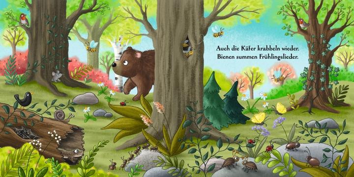 Actual product image Es wird Frühling hier im Wald (German)