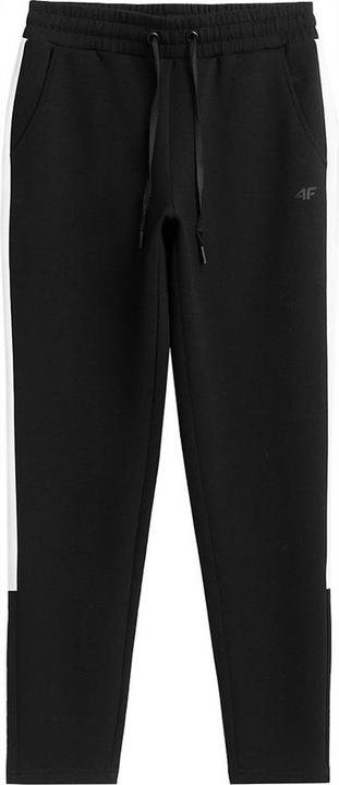 Produktbild 4F H4Z21 Jogginghosen (L)