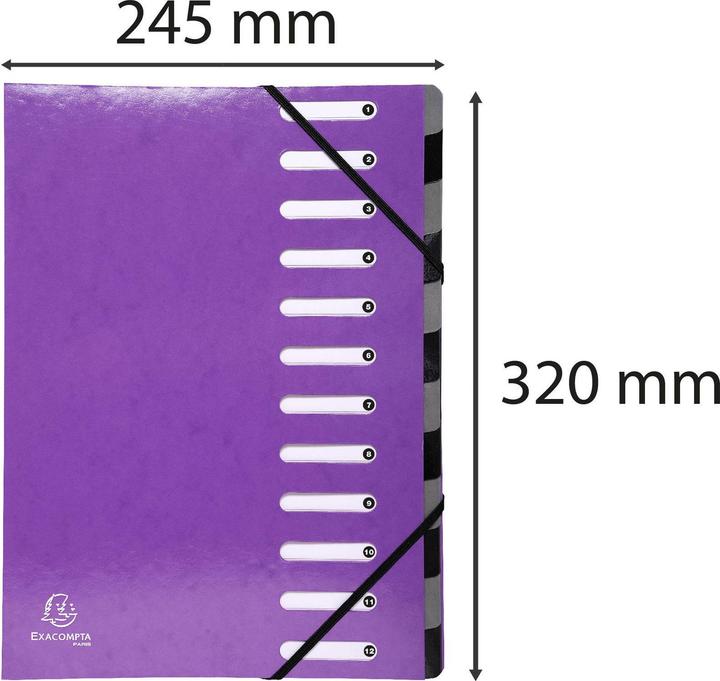 Actual product image Exacompta Folder Iderama (A4, 60x)