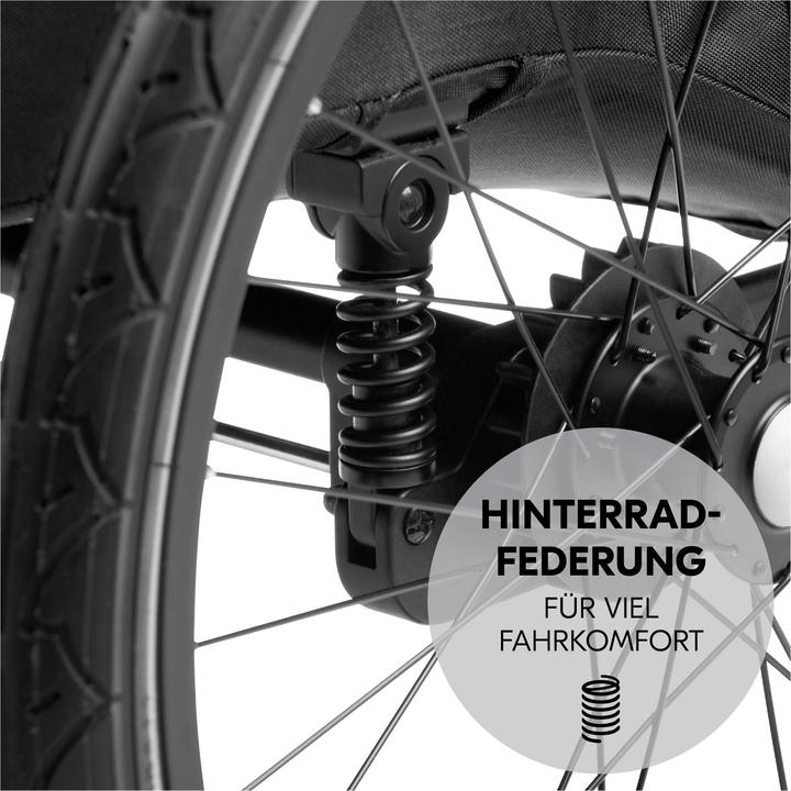 Actual product image Hauck Dryk Duo Plus Fahrradanhänger