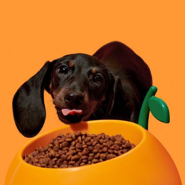 Produktbild Vetreska Napf Juicy Tangerine, Set