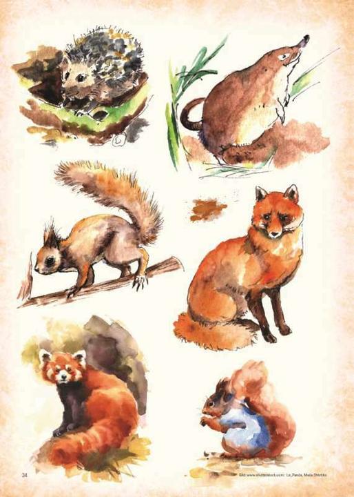 Produktbild Watercolor - Premium Style (Deutsch, Kruhm Verlag, 2016)
