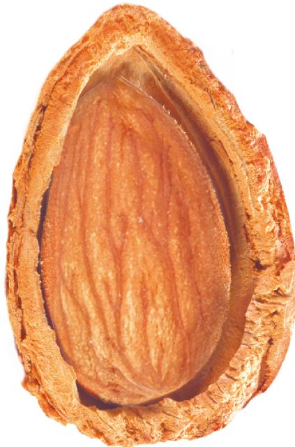 Produktbild Nature Box Shampoo (385 ml, Flüssiges Shampoo)