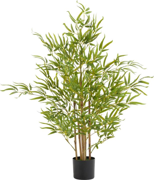 tectake Bambusbaum Bambosa (120 cm)