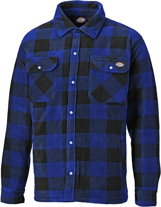 Actual product image Dickies Portland (3XL)