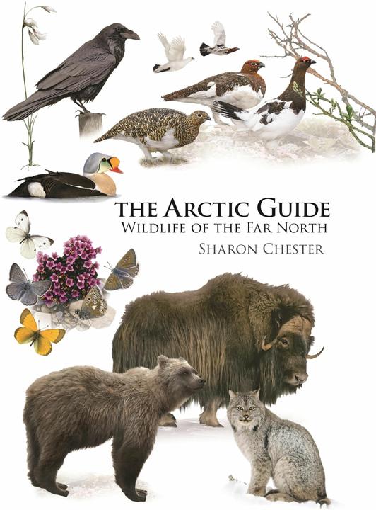 Produktbild Arctic Guide (Englisch, Sharon Chester, 2016)