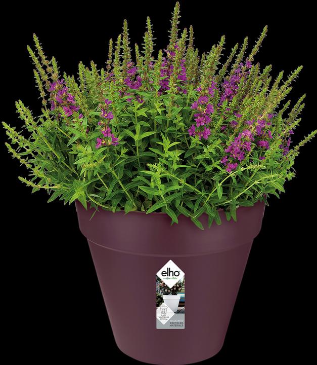 Produktbild Elho Loft Urban (22 cm)