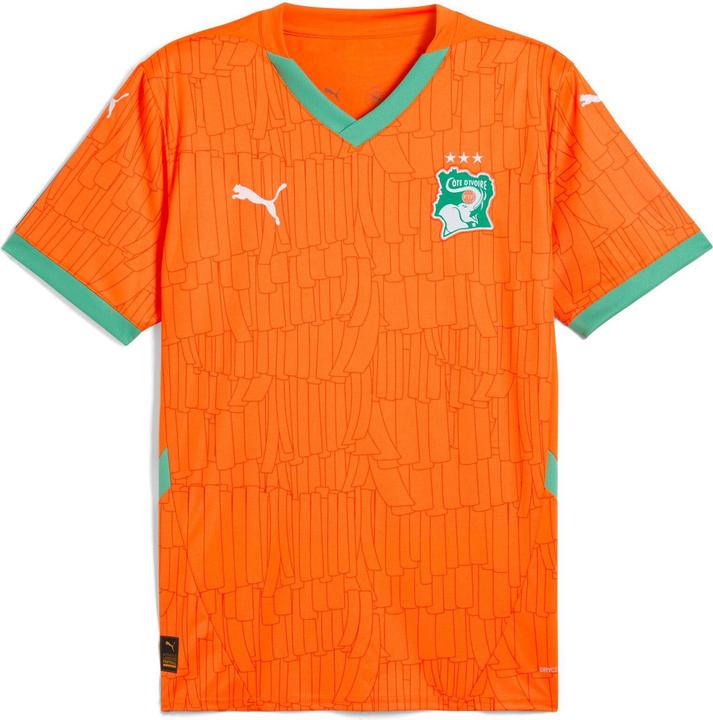 Actual product image Puma FIF Home Jersey Replica (S)