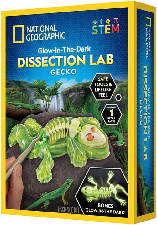 National Geographic Gecko Dissection Lab (29-2451)