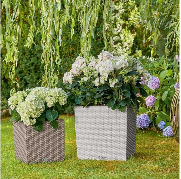 Actual product image Lechuza Flowerpot Cube Cottage 40 (40 x 39 x 40 cm)