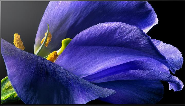 Sony OLED KD55AG9 (55", OLED, 4K, 2019)